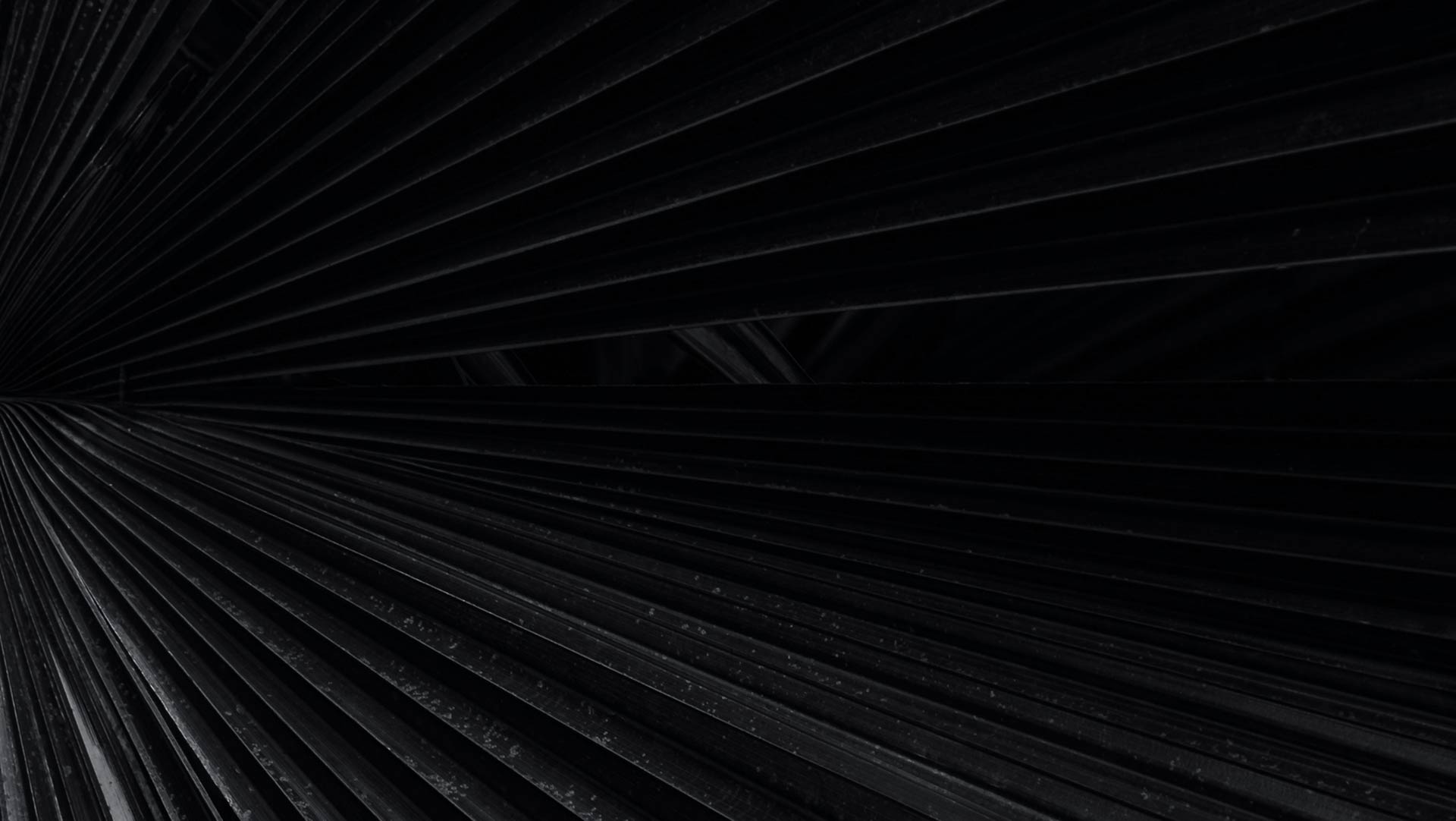 Signature Dental Aesthetics meet the team pattern background